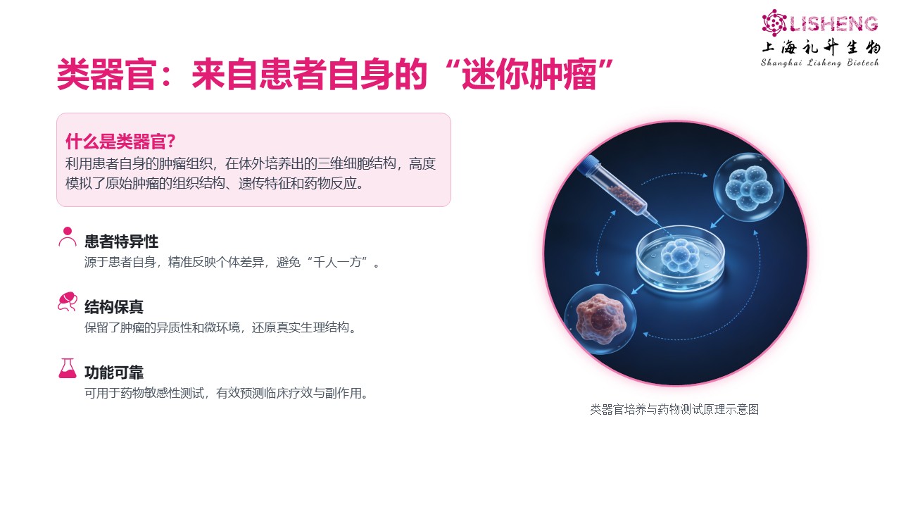 幻灯片5.JPG