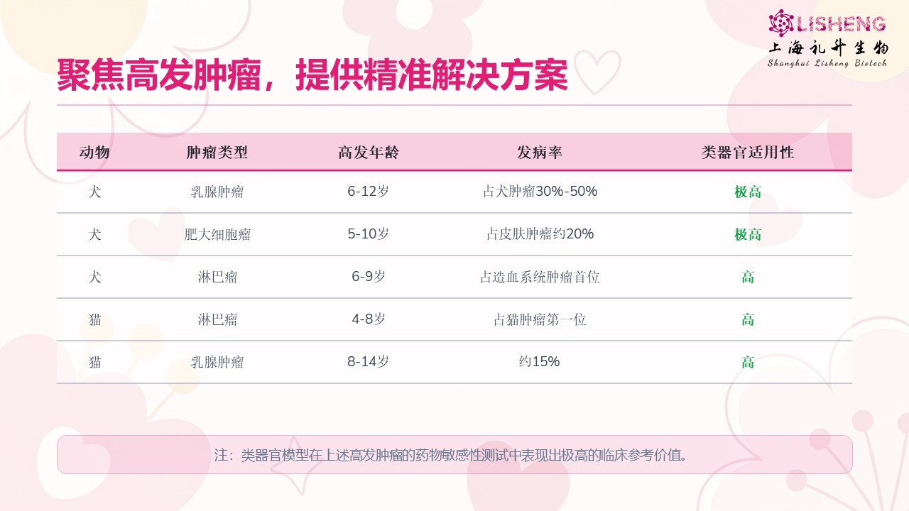 幻灯片9.JPG